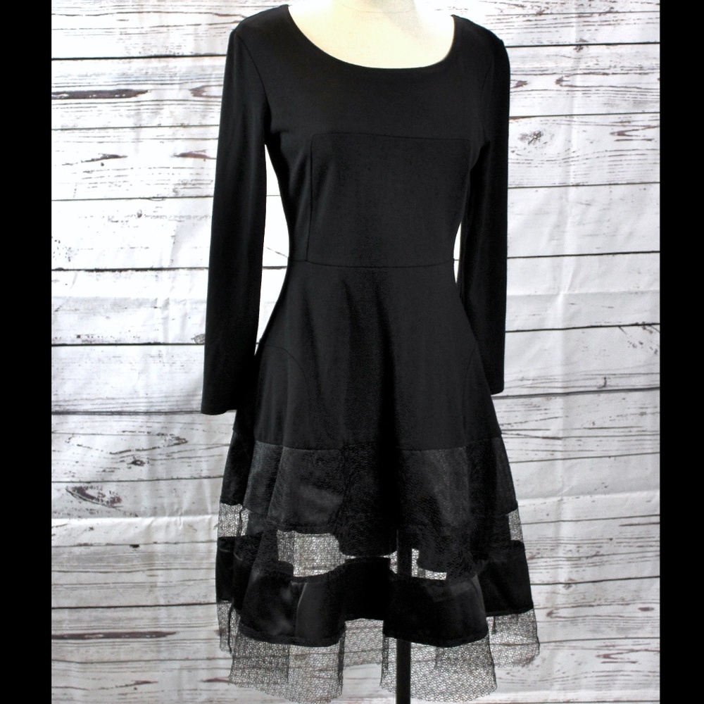 Clocolor Small Black Dress w/See Thru Netting